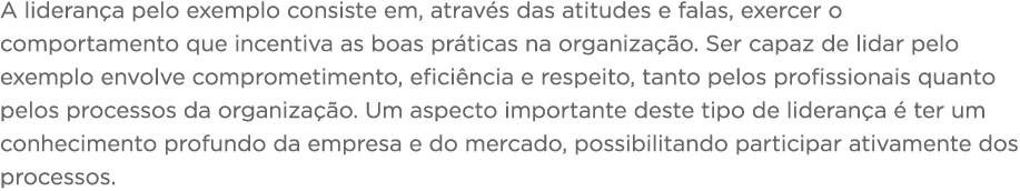 A liderança pelo exemplo consiste em, através das atitudes e falas, exercer o comportamento que incentiva as boas prá   