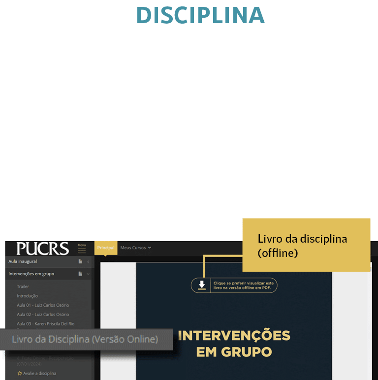 disciplina,Livro da disciplina (offline